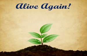 Alive Again